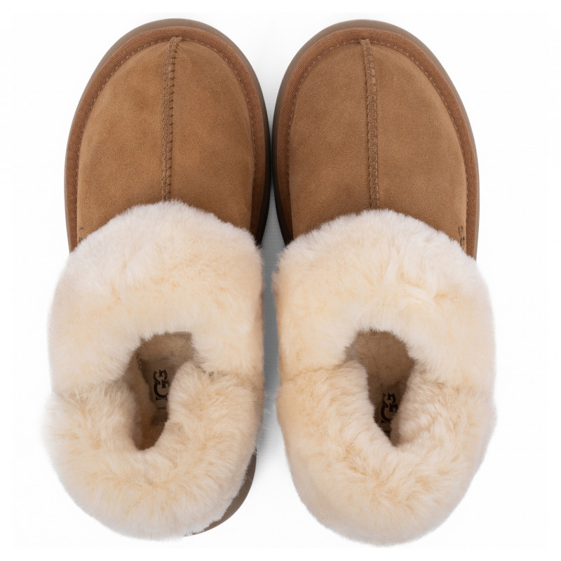Женские Тапочки UGG Slippers Disquette Chestnut