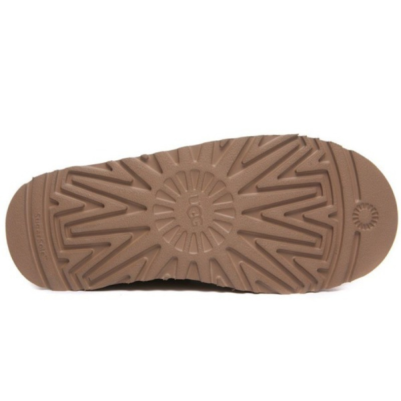 Женские Слипоны UGG Tazz Knit Chestnut