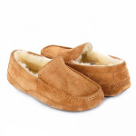 UGG Mens Ascot Chestnut