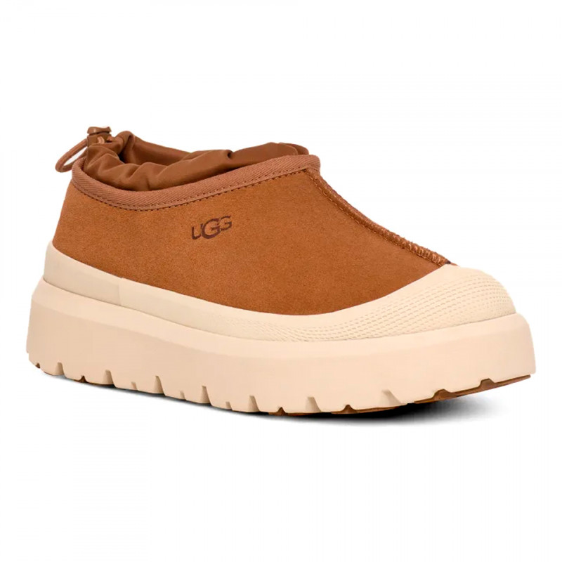 Мужские слипоны UGG Mens Tasman Hybrid Chestnut / Whitecap