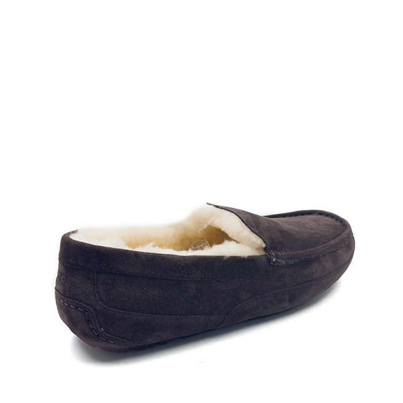 Мужские Мокасины UGG Mens Ascot Chocolate