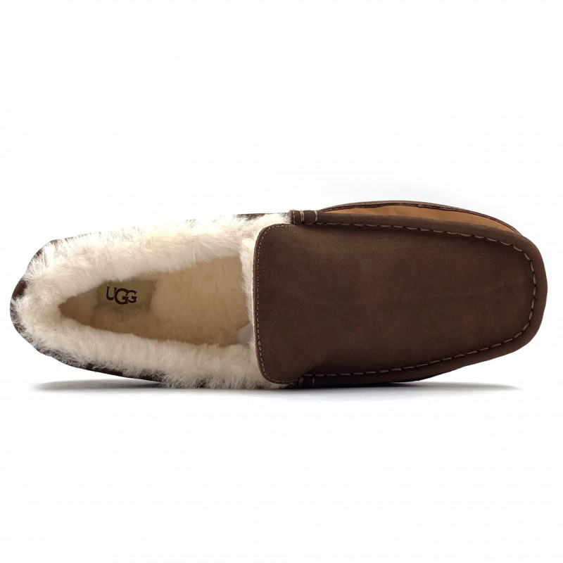 Мужские Мокасины UGG Mens Ascot Gognac