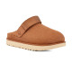 Женские Сабо UGG Summer Goldenstar Clog Chestnut