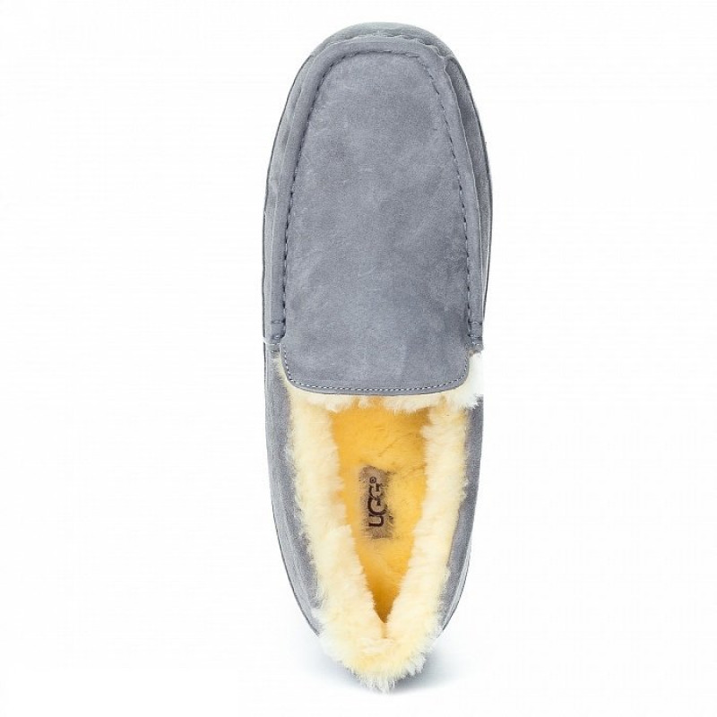 Мужские мокасины UGG Mens Ascot Grey