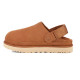Женские Сабо UGG Summer Goldenstar Clog Chestnut