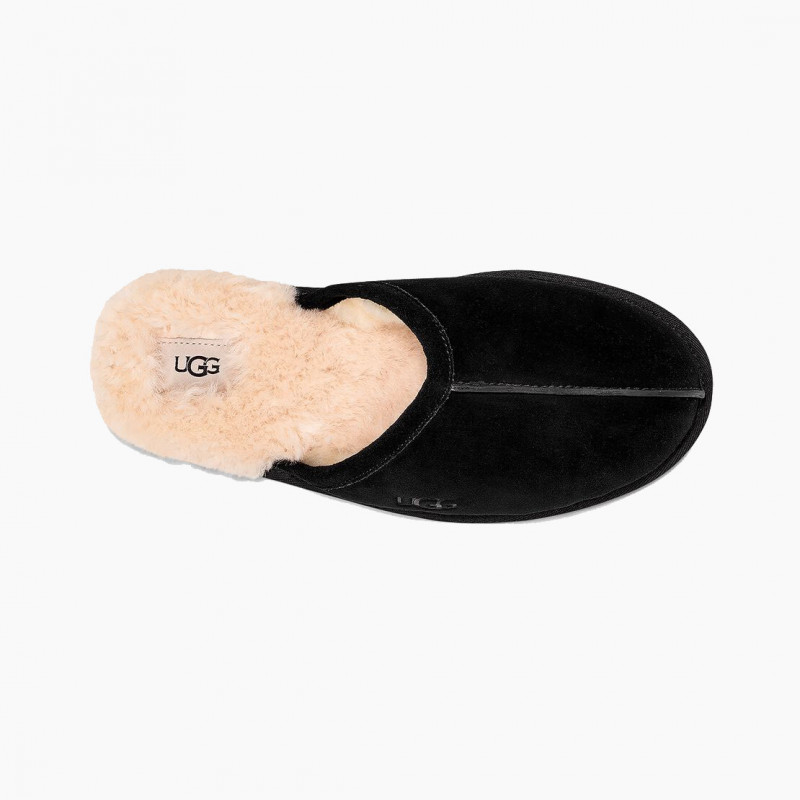Мужские тапочки UGG Mens Scuff Slipper Black
