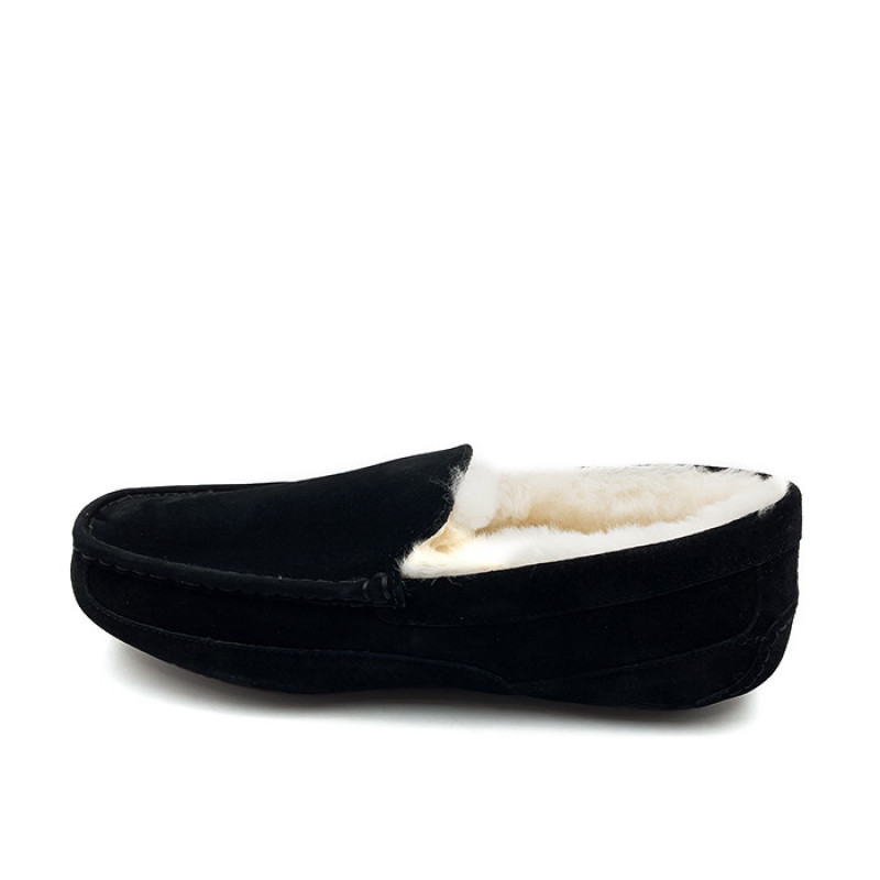 Мужские Мокасины UGG Mens Ascot Black