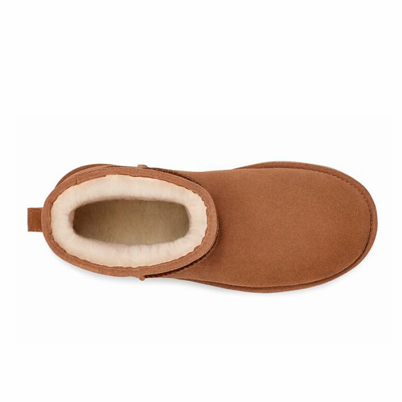 Женские Угги UGG Classic Mini Platform Chestnut